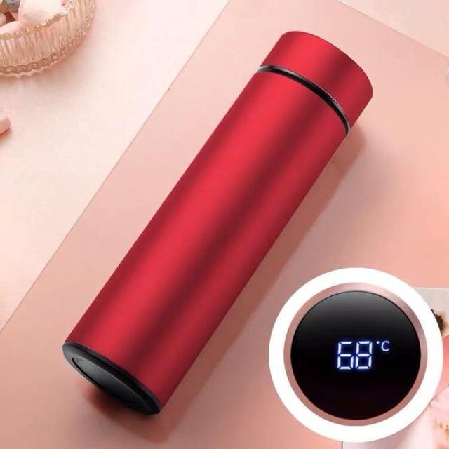 Temperature Water Bottle, LED Temperature Display,