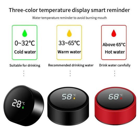Temperature Water Bottle, LED Temperature Display,